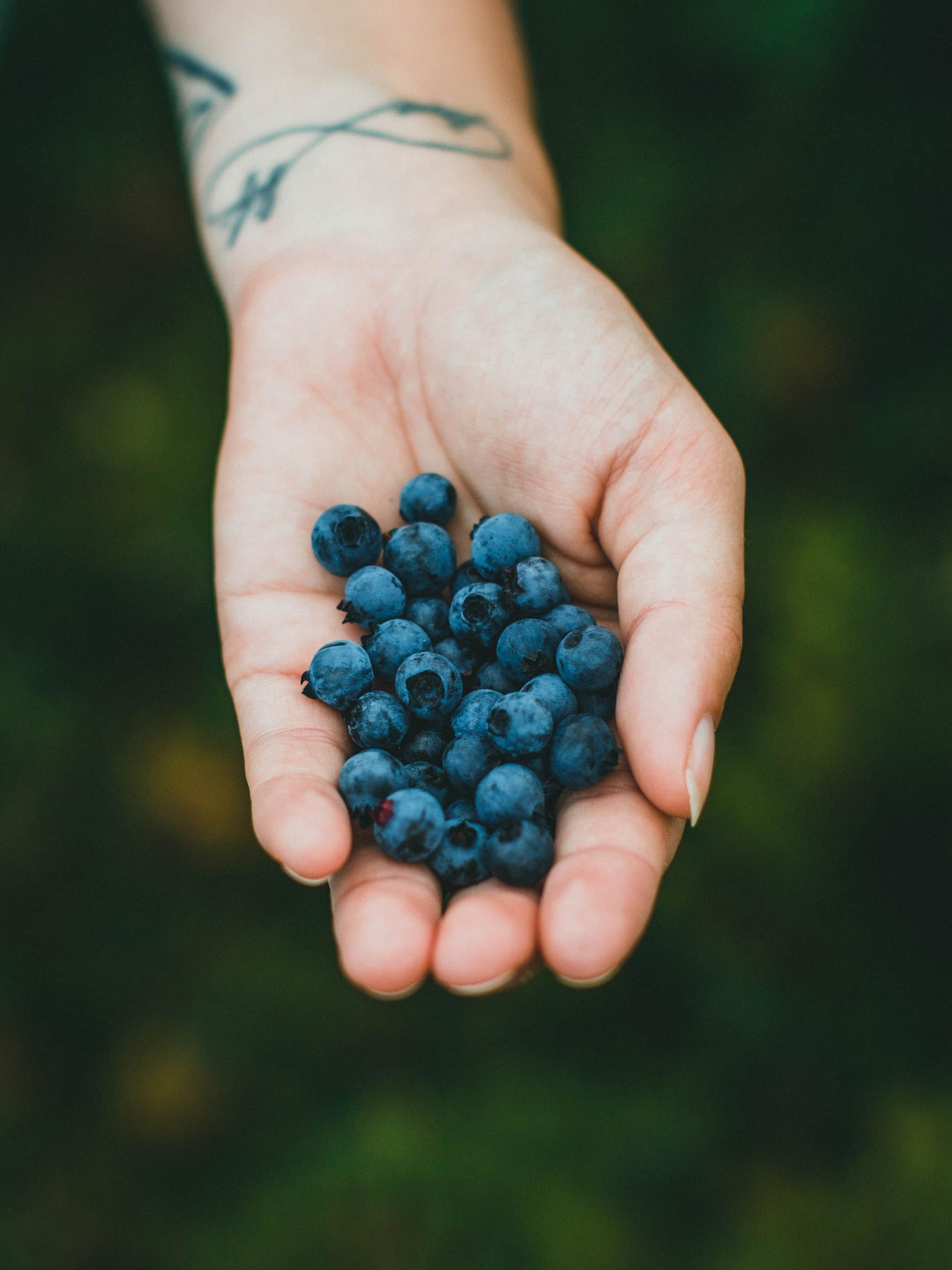 What is the "Elderberry," known as a natural medicine cabinet?